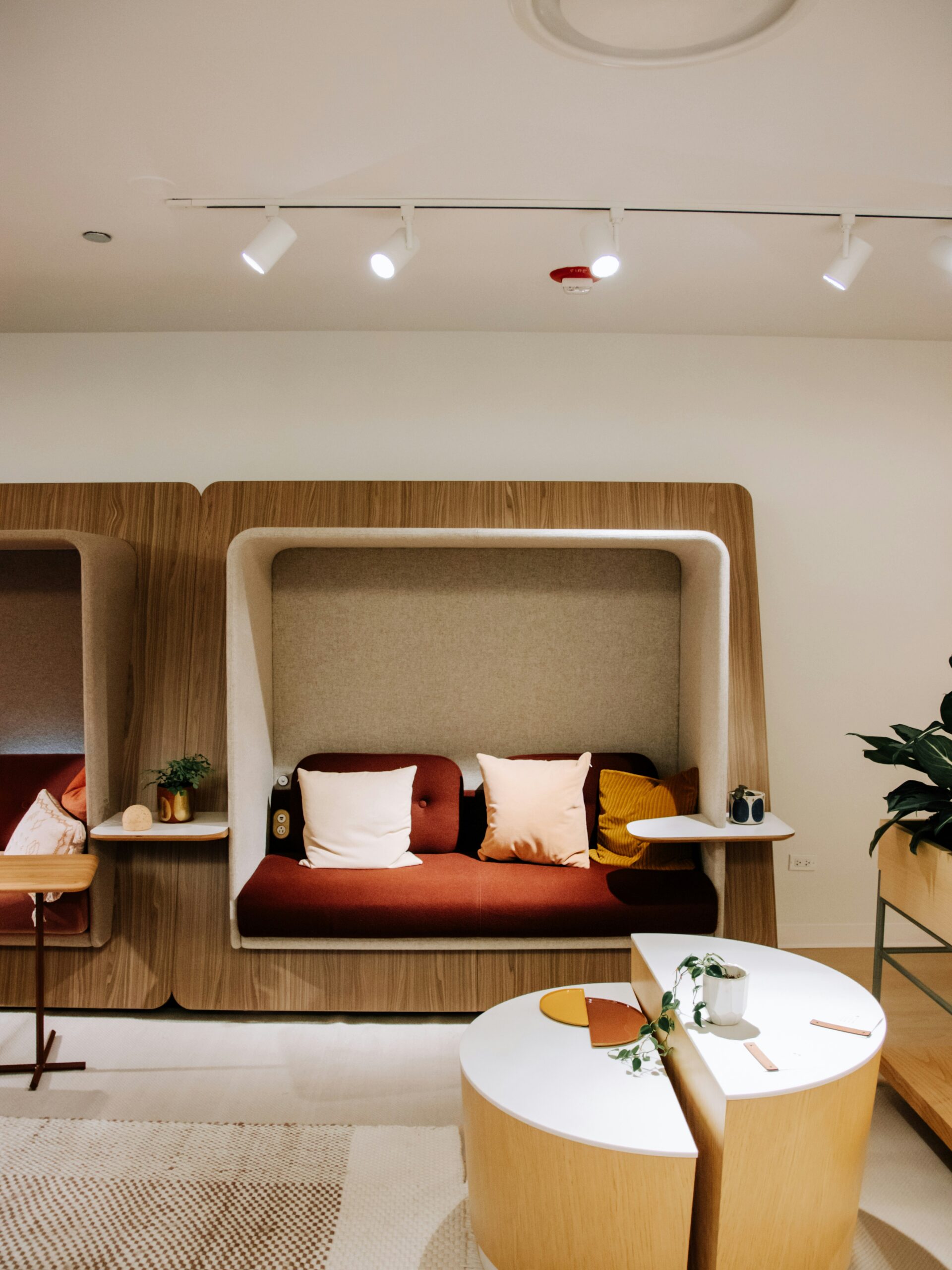 taylor friehl drxebj7cjto unsplash